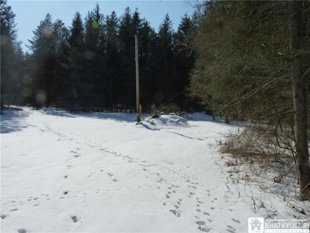 6266 Bluebird Ln, Leon, NY 14751 - photo 5