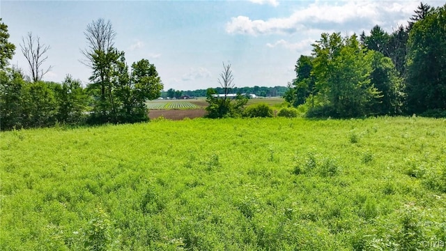 6427 State Route 31, Cicero, NY 13039 - photo 10