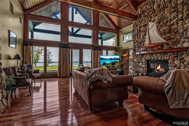 1567 Lake Rd, Porter, NY 14174 - living room featuring a stone fireplace, dark wood-type flooring, and high vaulted ceiling