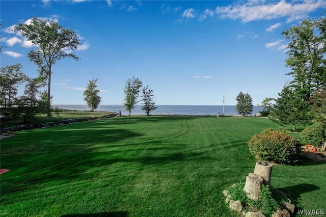 1567 Lake Rd, Porter, NY 14174 - view of property's community featuring a water view and a yard