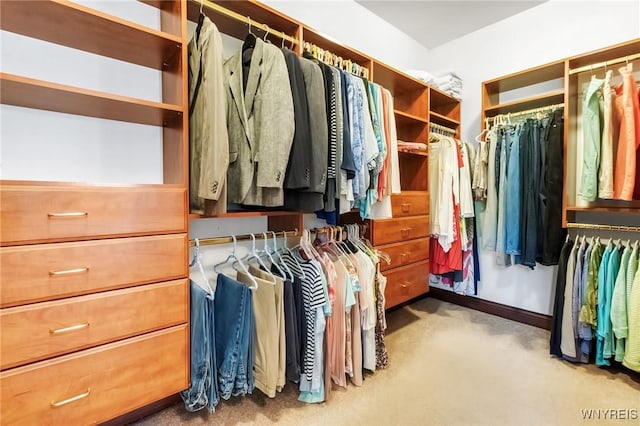 1567 Lake Rd, Porter, NY 14174 - walk in closet with carpet
