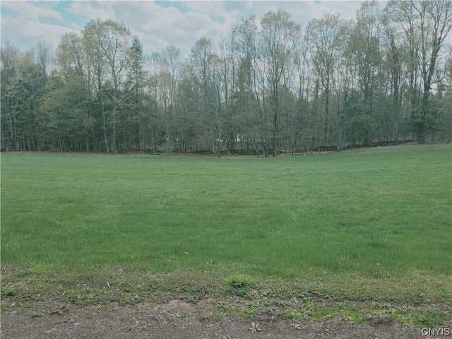 177 Woodchuck Run, Jefferson, NY 12093 - photo 49