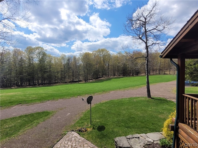 177 Woodchuck Run, Jefferson, NY 12093 - photo 15