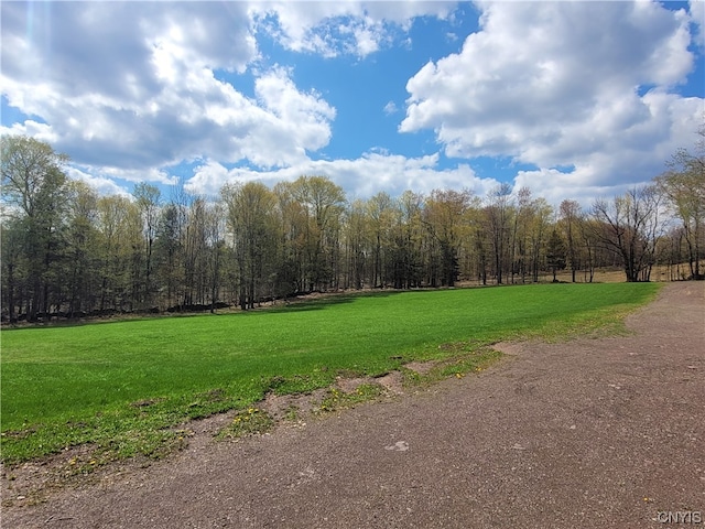 177 Woodchuck Run, Jefferson, NY 12093 - photo 17