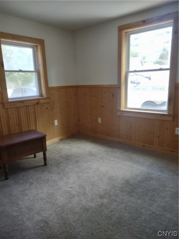 carpeted spare room featuring a healthy amount of sunlight