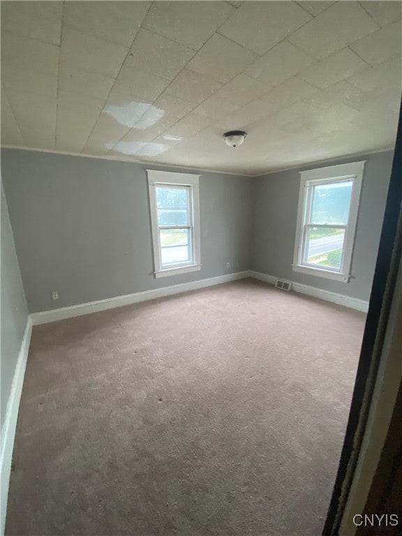 additional living space with carpet floors and a healthy amount of sunlight