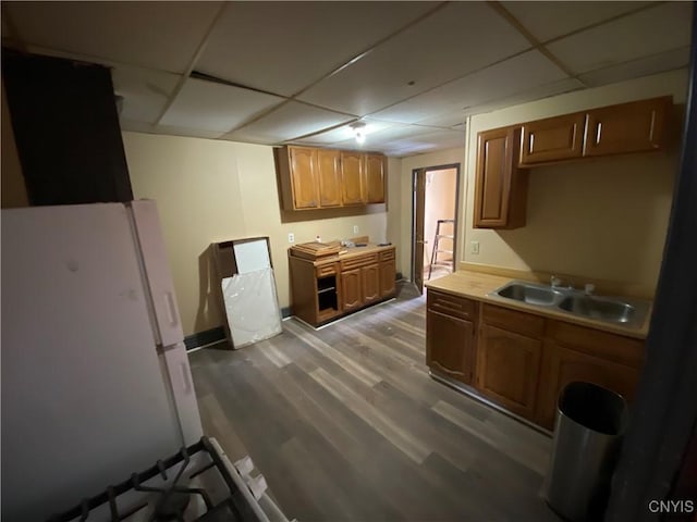 kitchen with freestanding refrigerator, a sink, a paneled ceiling, and wood finished floors