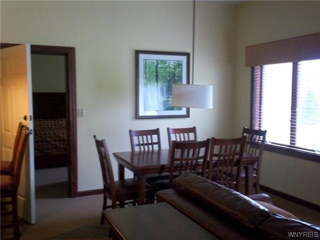 dining area with carpet