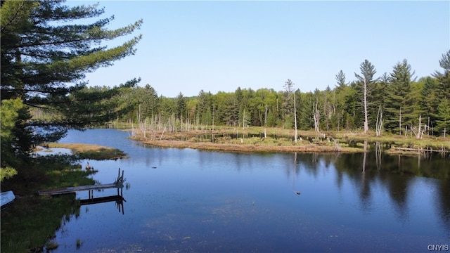 8440 Stony Lake Rd, Watson NY, 13343 land for sale