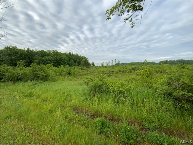 LOT10 Hart Rd, Clayton NY, 13624 land for sale