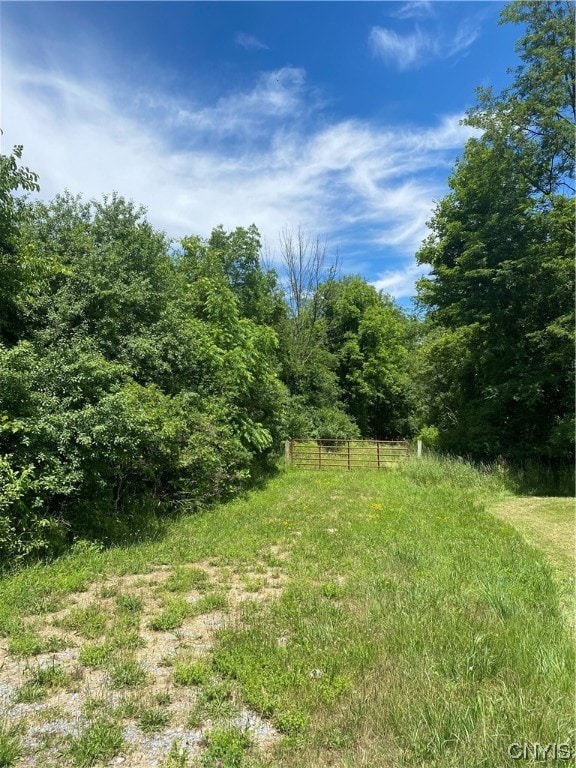 0 Oak St, Auburn NY, 13021 land for sale