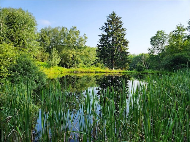 151 Schultz Rd, Sanford, NY 13754 - property view of water