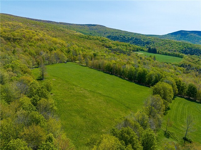 aerial view featuring a mountain view