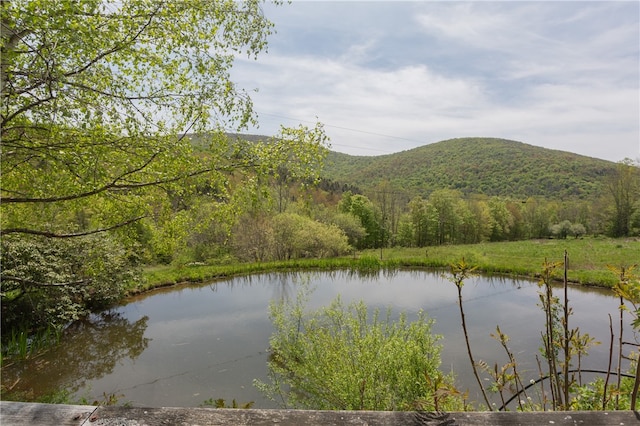 view of water feature featuring a mountain view