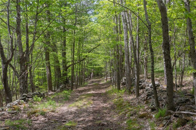 view of landscape