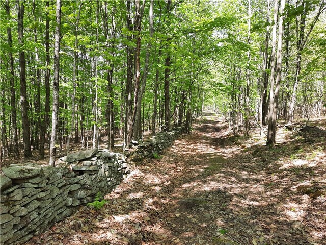 view of local wilderness