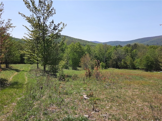 property view of mountains featuring a rural view