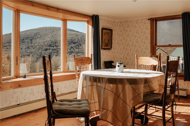 dining area featuring a mountain view and light hardwood / wood-style flooring