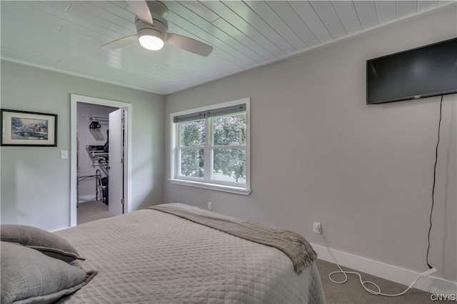 carpeted bedroom with a walk in closet and ceiling fan