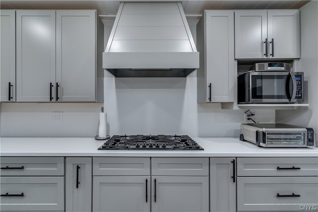 kitchen with premium range hood and appliances with stainless steel finishes