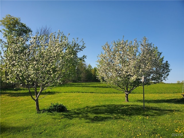 view of mother earth's splendor