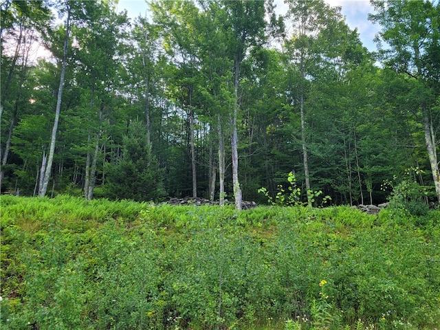 Listing photo 3 for LOT19 Brush Hollow Rd, Bovina NY 13740