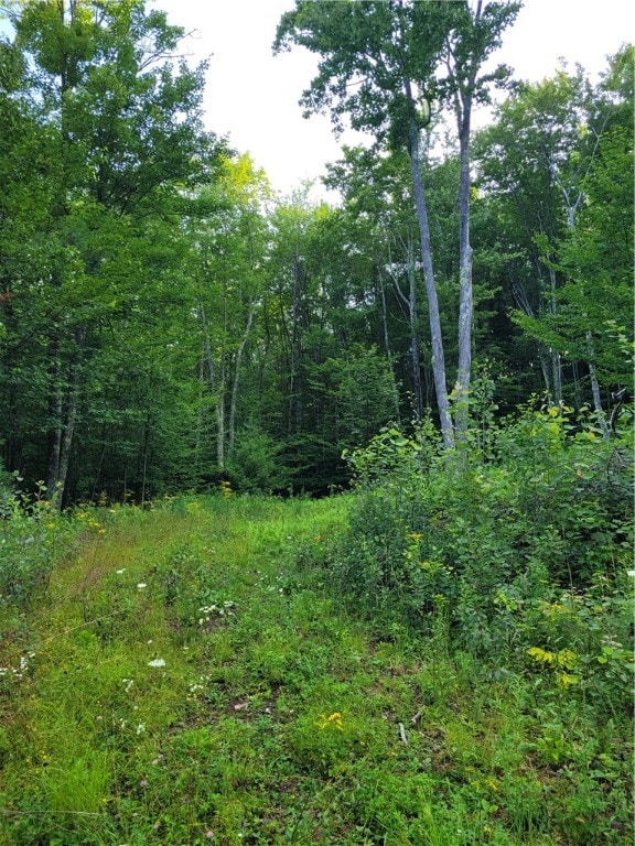 Listing photo 2 for LOT19 Brush Hollow Rd, Bovina NY 13740