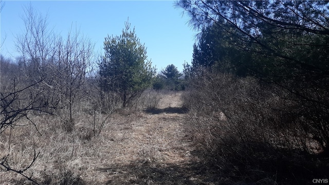 0 Co Route 25, Antwerp, NY 13608
