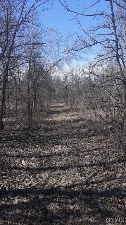 0 Co Route 25, Antwerp, NY 13608