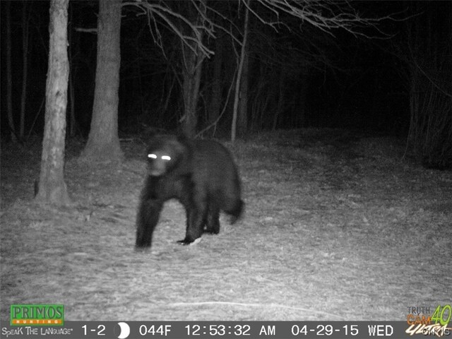 0 Co Route 25, Antwerp, NY 13608