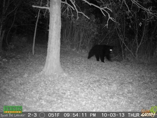 0 Co Route 25, Antwerp, NY 13608
