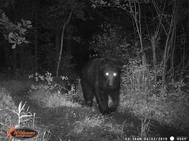 0 Co Route 25, Antwerp, NY 13608