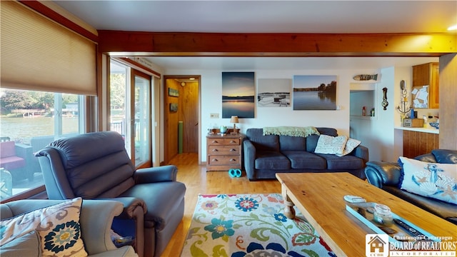 living room with light hardwood / wood-style floors