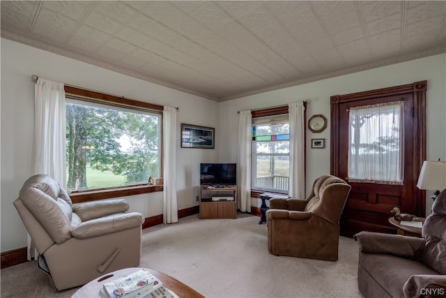 carpeted living room with a healthy amount of sunlight