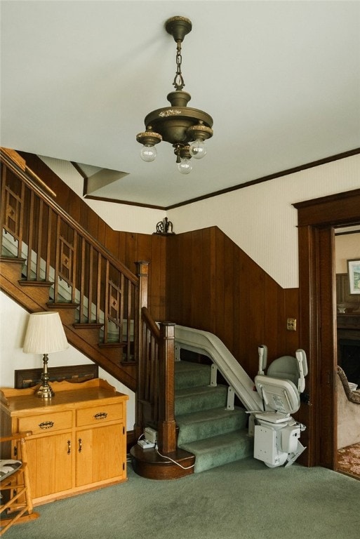 staircase featuring carpet and wooden walls