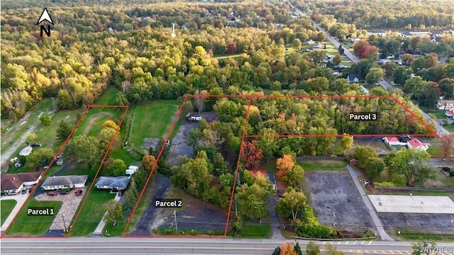 5241 Big Tree Rd, Orchard Park, NY 14127 - photo 4