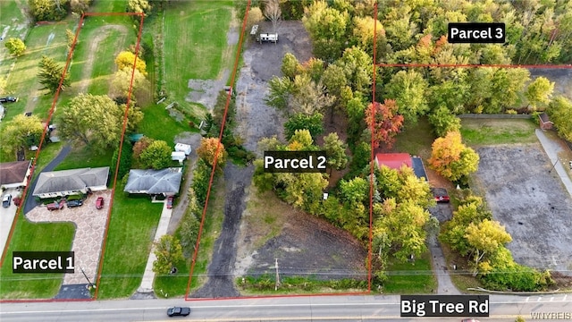 5241 Big Tree Rd, Orchard Park, NY 14127 - photo 8