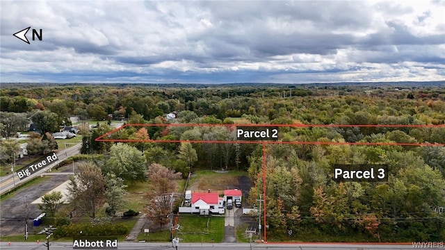 5241 Big Tree Rd, Orchard Park, NY 14127 - photo 9