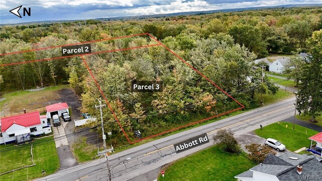 5241 Big Tree Rd, Orchard Park, NY 14127 - photo 10