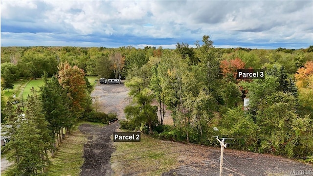 5241 Big Tree Rd, Orchard Park, NY 14127 - photo 11