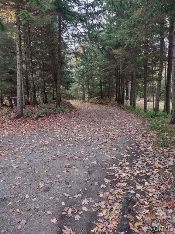 view of road