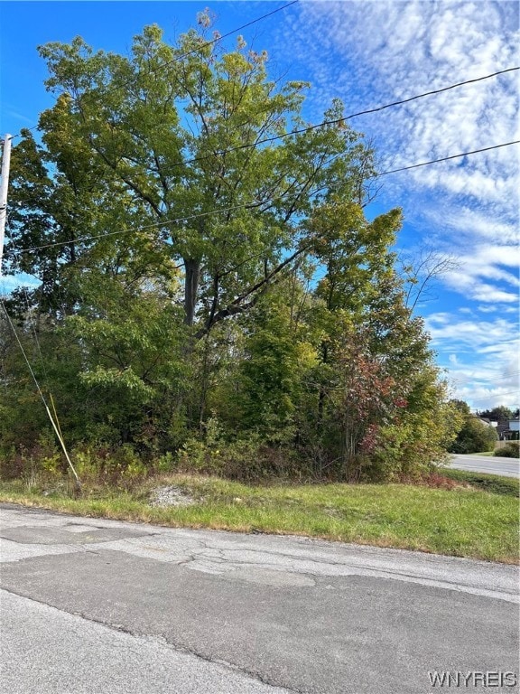 V/L Birchwood Dr E, Hamburg NY, 14075 land for sale