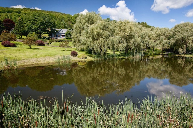 view of water feature