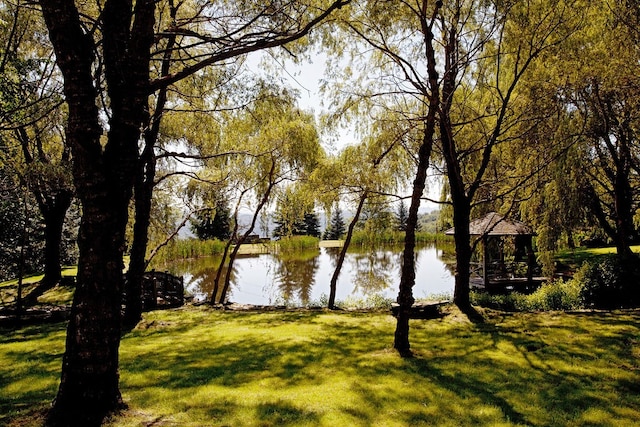 property view of water with a gazebo