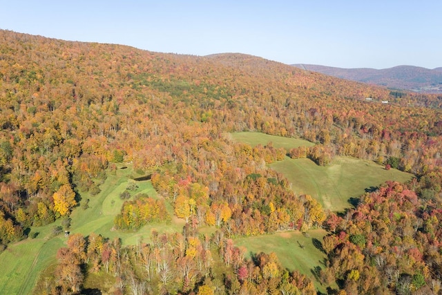 drone / aerial view with a mountain view