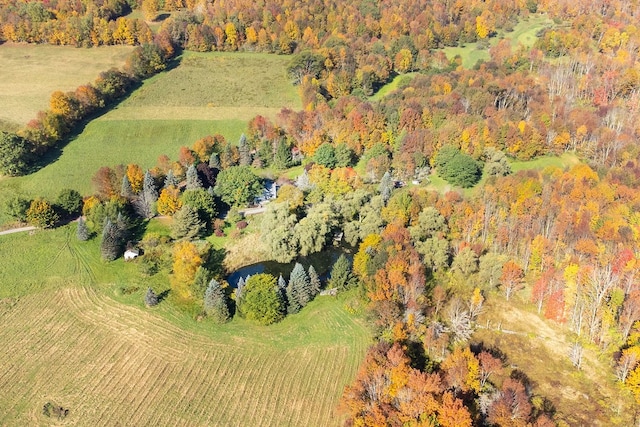 view of drone / aerial view