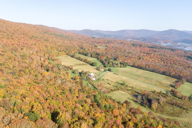 view of mountain view