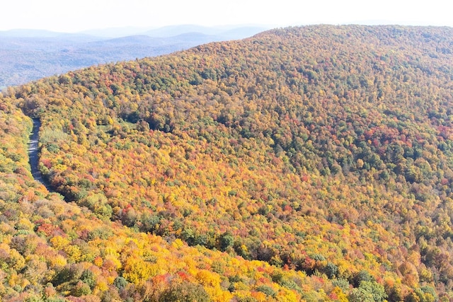 view of mountain feature