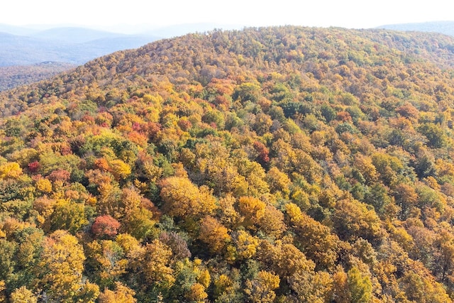 view of mountain view