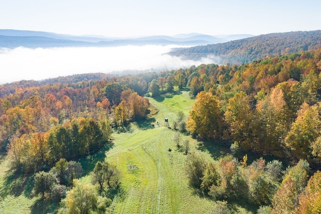 bird's eye view featuring a mountain view